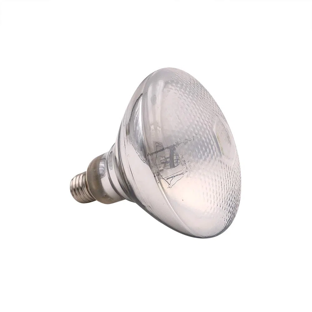 Mega-Ray Ampoule vapeur de mercure 100 W (120 V)