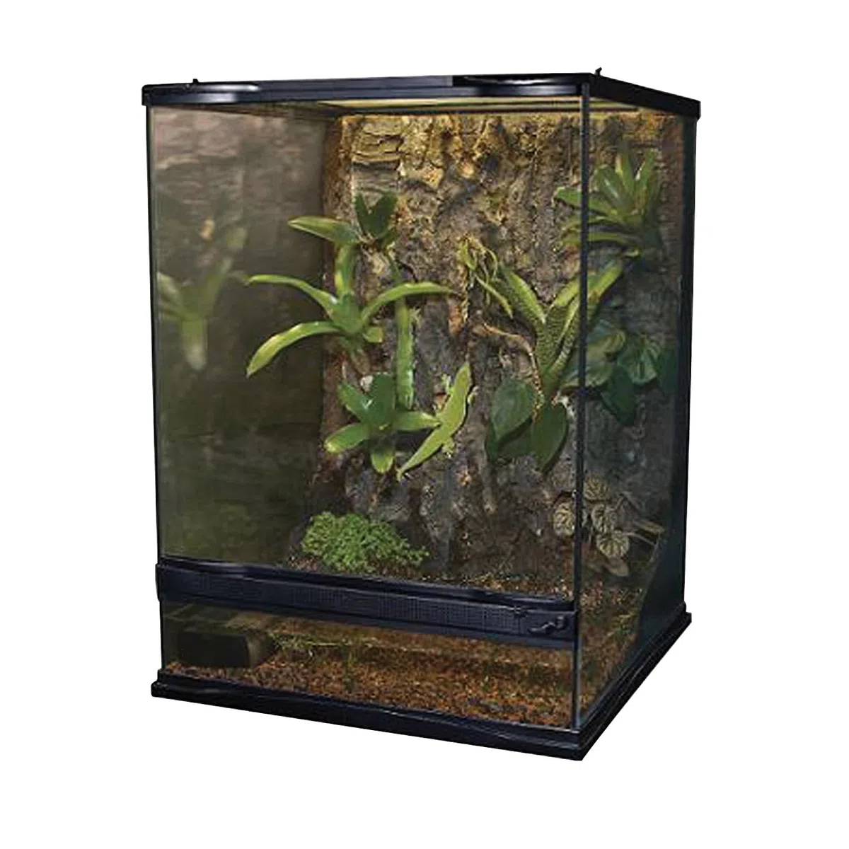 Zoo Med Terrarium Naturaliste pour Reptile/Amphibien 45 x 45 x 60 cm