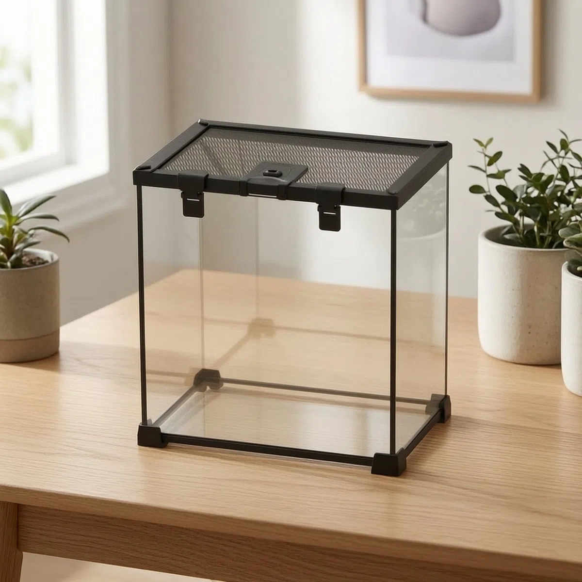 Terrarium en Sécurisé Vivariums en Verre Habitat pr Propriétaires Reptiles, 30x30x30cm