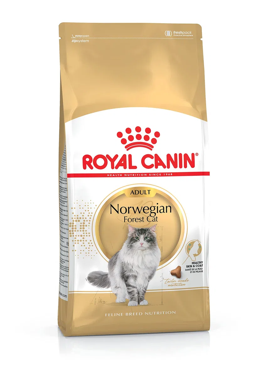 Royal Canin NORWEGIAN FOREST CAT ADULT Sac de 10 kg