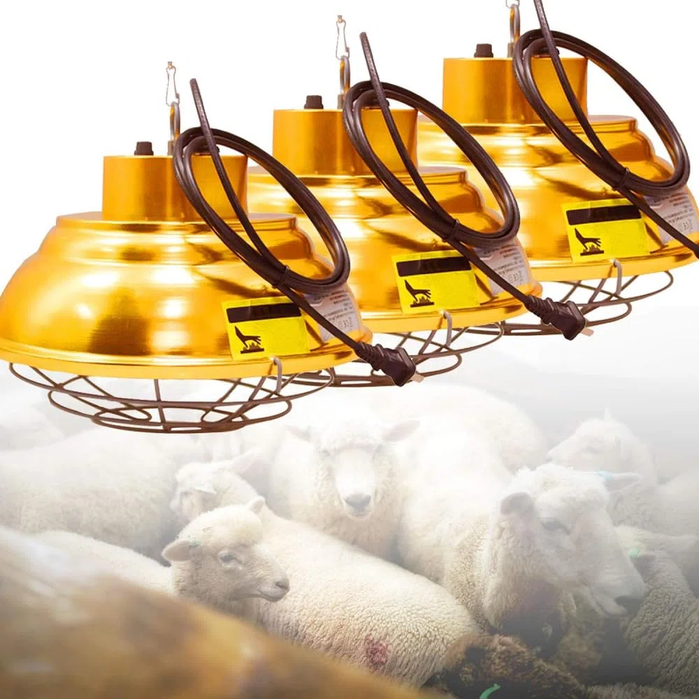 Lampe Chauffante Poussin,Lampe Infrarouge Chauffante Animal, Animaux Émetteur Radiateur pour Chiot, Chaton, Cochon, Agneau, Thermostat Couveuse Chauffage pour Poulailler, 200W-400W-3PCS