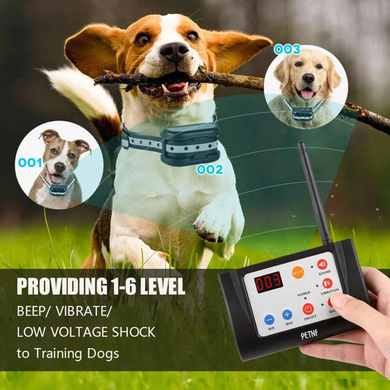 1pc clôture pour Chien sans Fil clôture électronique pour Animaux de Compagnie étanche avec Fonction de Son et de Choc 2 en 1 Collier d'entraînement de clôture pour Chien électrique