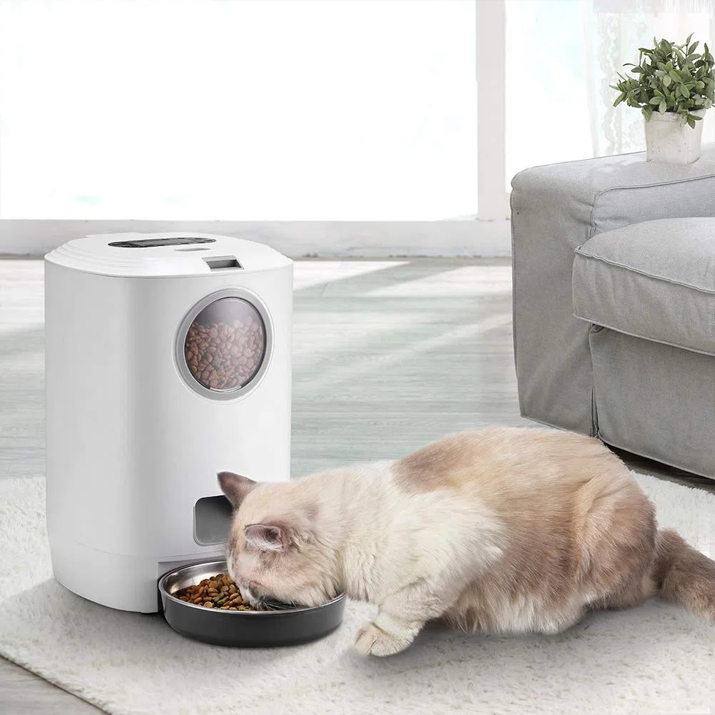 ibasenice Distributeur Automatique De Croquettes pour Chat Et Chien Gamelle pour Animaux Capacité Programmable Jusqu à Repas par Jour