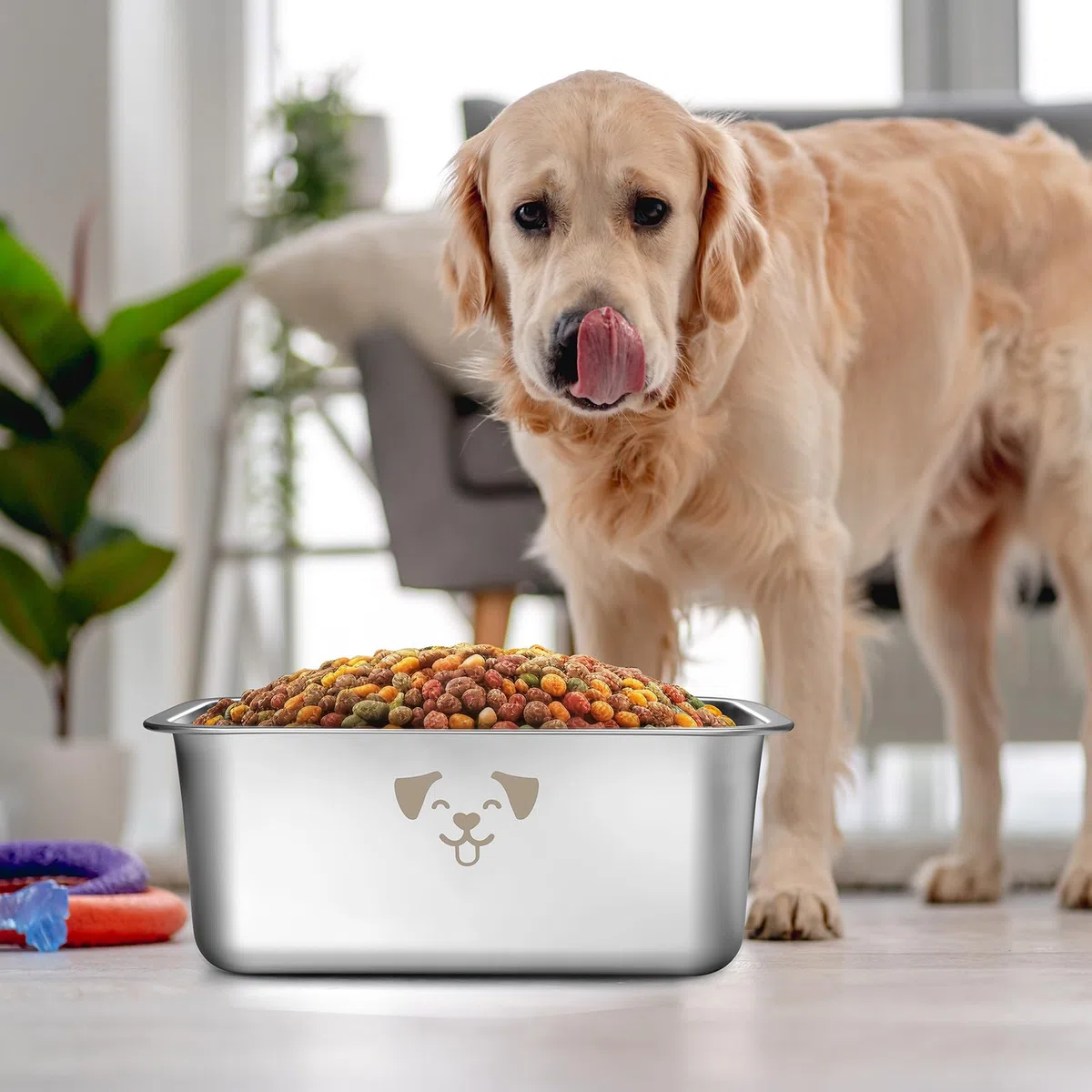 Sweetude Lot de 4 grandes gamelles à eau pour chiens de grande taille en acier inoxydable - Gamelles en métal résistant à la rouille - Grande capacité pour animaux de compagnie (9 l)
