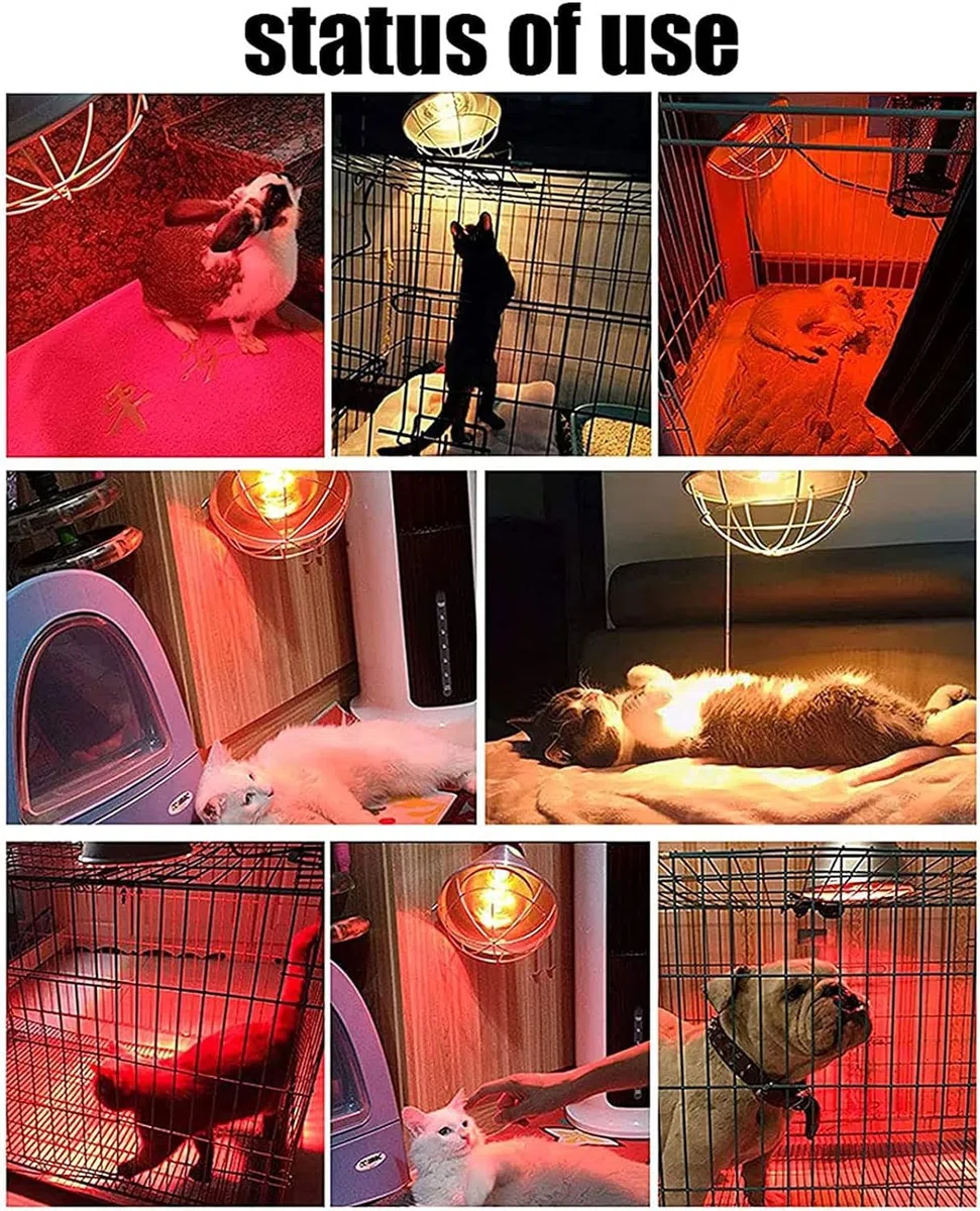 Lampes Chauffantes pour Volailles,Lampe ​chauffante Éclairages pour Poulailler Elevage pour Augmenter La Température Ambiante Garder Les Animaux Au Chaud, Température Réglable-B||Red Light
