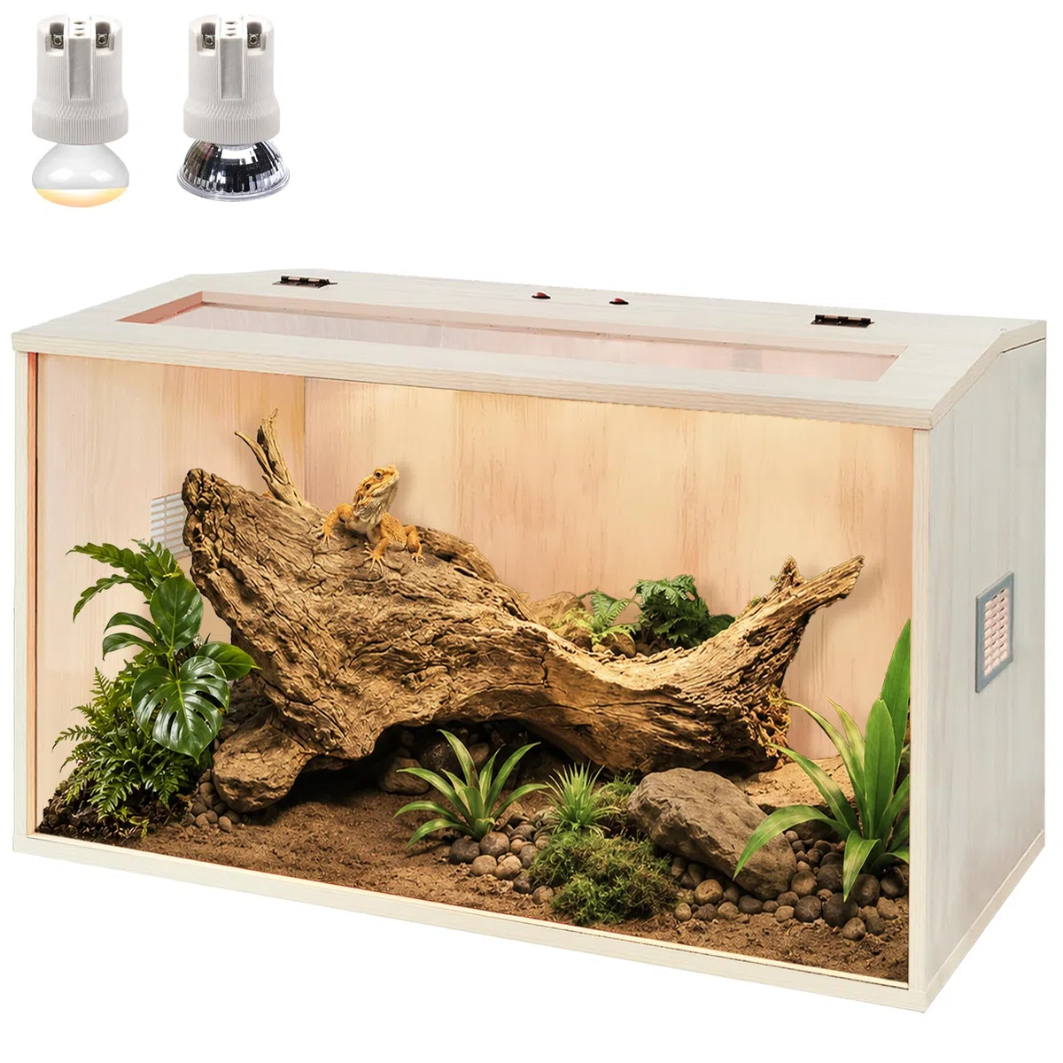 Prolee Terrarium pour Reptiles jusqu'à 21 gallons - Réservoir de lézard avec Porte de Toit, réservoir de Serpent avec Lampe intégrée et Interrupteur - 61 cm x 40,6 cm x 40,6 cm