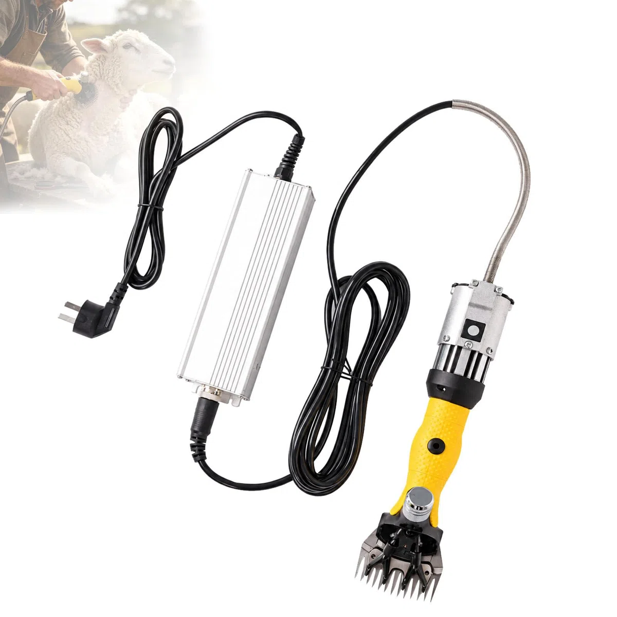 36V Tondeuse Robuste pour Moutons avec Étui de Transport