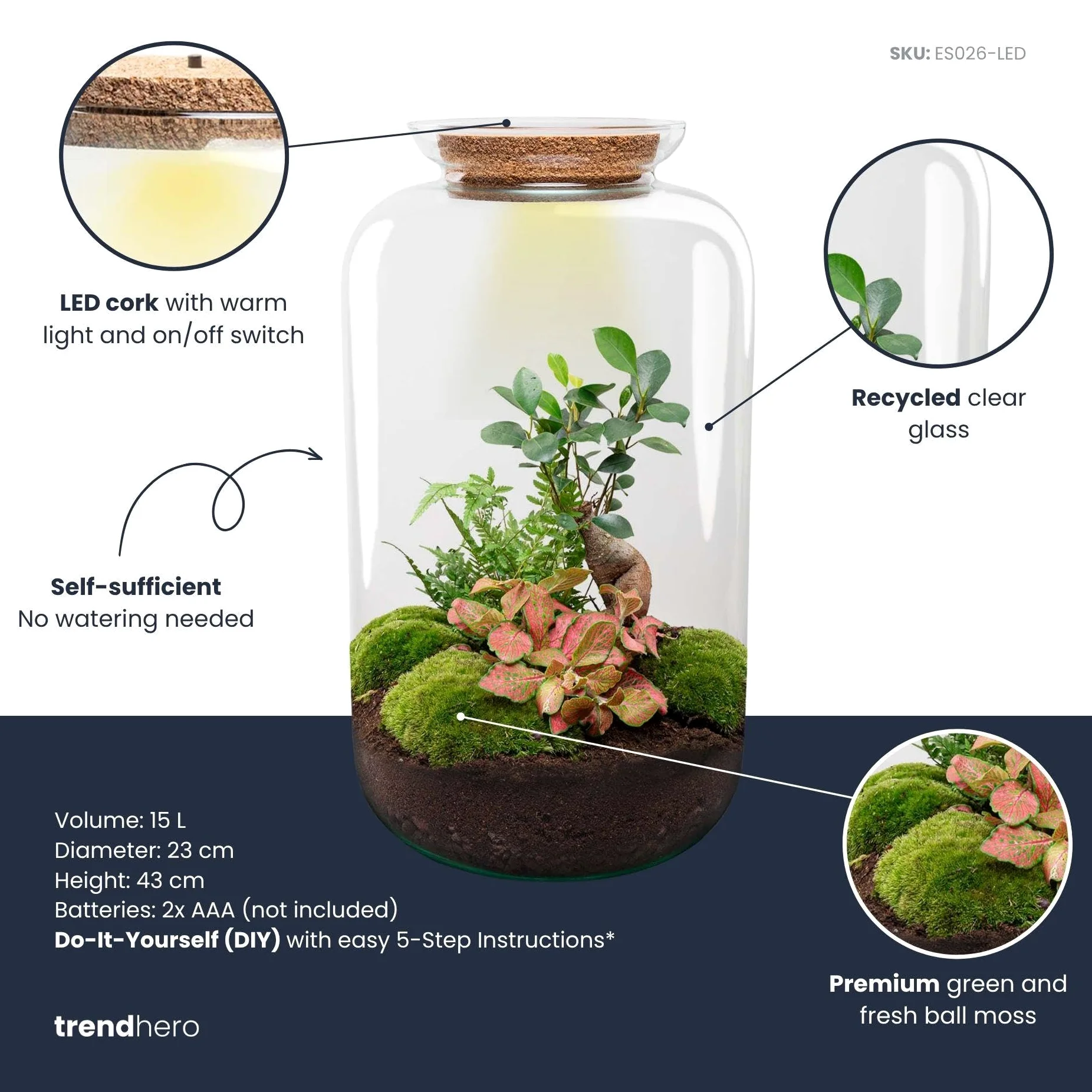 Kit Terrarium DIY en Verre, Déco, Vert, Ø 23 x H 43 cm avec Lampe
