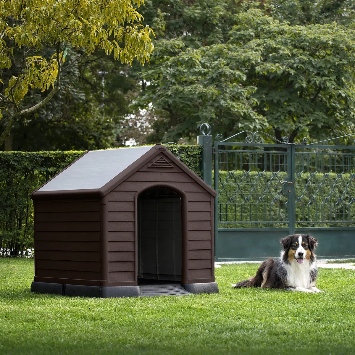 Curver Niche d'extérieur en résine pour Chiens de Grande et Moyenne Taille, Sol élevé, système de Ventilation, 95 x 99 x 99 cm, Marron